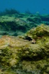 Greece The Wild Side S01E02 2160p WEB h264-SKYFiRE EZTV
