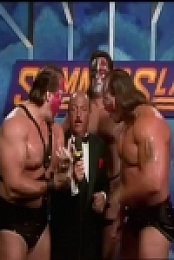 WWE SummerSlam 1990 480p x264-mSD EZTV