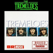 The Tremeloes - Boxed (4CD Box Set) (2009) (320) [DJ]