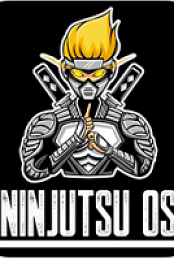 Windows 10 Pro Ninjutsu v2.0 Version 2004 Build 19041 – 2020 - [haxNode]
