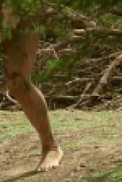 Naked and Afraid S16E02 XviD-AFG EZTV