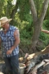 Swamp People S12E04 WEB h264-BAE EZTV