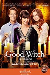 Good Witch S05E08 720p WEB x264-worldmkv