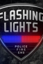 Flashing Lights - Police, Firefighting, Emergency Services Simulator (警情，消防，急救) Update 18.12.2018