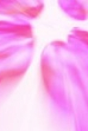 Daniel Spellbound S01 WEBRip x265-ION265 EZTV