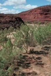 Back To Nature S01E08 480p x264-mSD EZTV