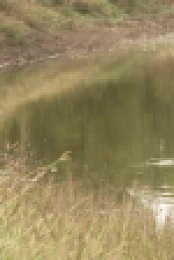 Naked and Afraid S17E10 XviD-AFG EZTV