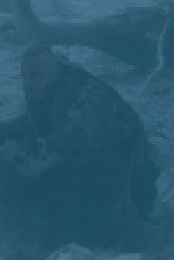 Vikings S04E04 720p HDTV x264-KILLERS[ettv]