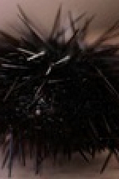 Somebody Feed Phil S06E02 XviD-AFG EZTV