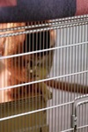 Inside Taronga Zoo S02E03 480p x264-mSD EZTV
