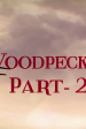 Woodpecker 2(2020) ULLU Hindi 720p WEBRip (P02 E05-08) AAC