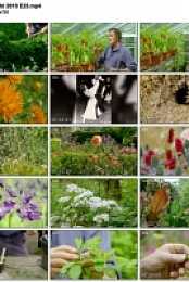 Gardeners' World 2019 E23 (1280x720p HD, 50fps, soft Eng subs)