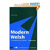 Modern Welsh a Comprehensive Grammar-h33t-Bitfastertorrent