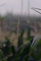 Small Town Secrets S01E03 720p WEBRip x264-BAE EZTV