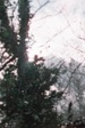 Landscapers S01E04 1080p WEB h264-KOGi EZTV