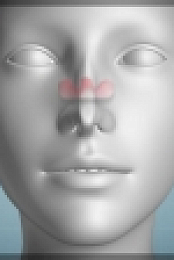 Botched S06E20 720p HEVC x265-MeGusta EZTV