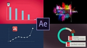 Udemy - After Effects - Motion Graphics & Data Visualization [Course Drive]