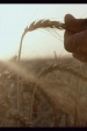 Ancient Unexplained Files S01E06 Gladiator Graveyard 1080p WEB h264-B2B EZTV