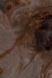 Evil S02E11 iNTERNAL 1080p HEVC x265-MeGusta EZTV