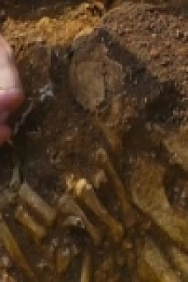 Digging for Britain S08E02 North INTERNAL 480p x264-mSD [eztv]