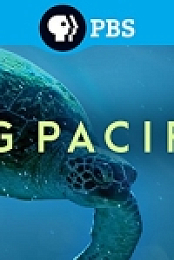 Big Pacific S01 1080p BluRay x264-SPRiNTER