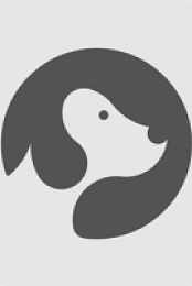 FoneDog Toolkit – iOS Data Recovery v2.1.18 Patched (macOS) - [haxNode]