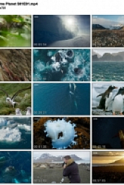 Seven Worlds One Planet S01complete (1280x720p HD, 50fps, soft Eng subs)