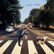 Paul Mccartney - Paul Is Live (2019) [320 KBPS]