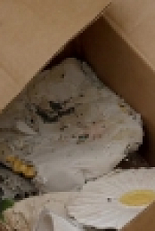 Hoarders S12E03 WEB h264-BAE EZTV
