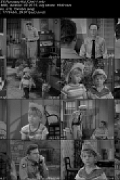 The Andy Griffith Show S1 E6 Runaway Kid [che]