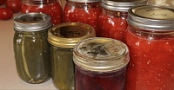 [ FreeCourseWeb ] Udemy - 5 garden crops for food storage
