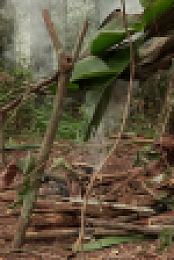 Naked and Afraid S17E08 1080p WEB h264-FREQUENCY EZTV