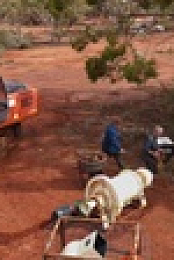 Aussie Gold Hunters S08E04 XviD-AFG EZTV