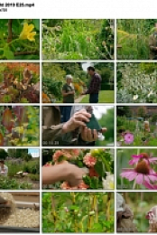 Gardeners' World 2019 E25 (1280x720p HD, 50fps, soft Eng subs)