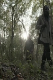 The Walking Dead S10E17 iNTERNAL 480p x264-mSD EZTV