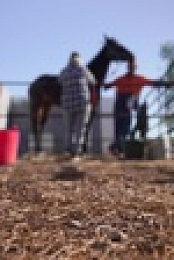 Back Roads S09E02 1080p HDTV H264-CBFM EZTV