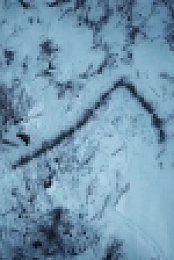 Life Below Zero S11E10 720p WEB x264-TBS [eztv]