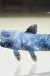 Lost Beasts S01E02 XviD-AFG EZTV
