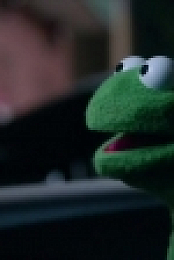 The Muppets S01E14 HDTV x264 KILLERS rarbg