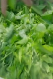 Food Lore S01E05 480p x264-mSD [eztv]