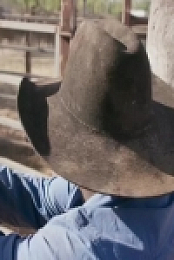 Outback Ringer S01E10 480p x264-mSD EZTV