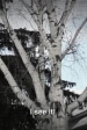 Paranormal Caught on Camera S08E02 XviD-AFG EZTV