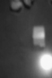 Ghost Hunters S08E25 iNTERNAL 480p x264-mSD [eztv]