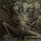 Fossilization - Advent of Wounds - 2026 - FLAC 16BITS 44.1KHZ-EICHBAUM