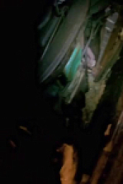 American Pickers S26E01 480p x264-mSD EZTV