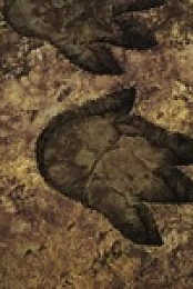 Godzilla Singular Point S01E05 480p x264-mSD EZTV