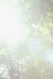 Nigel Marvens Wild Philippines S01E01 XviD-AFG EZTV