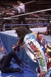 WWE SummerSlam 1991 XviD-AFG EZTV