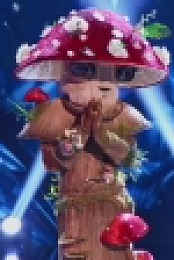 The Masked Singer S04E13 720p WEB h264-BAE EZTV