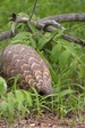 Work On The Wild Side S01E07 XviD-AFG EZTV